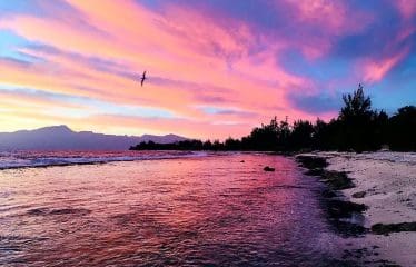 Villa Green Lodge in Moorea on the Beach