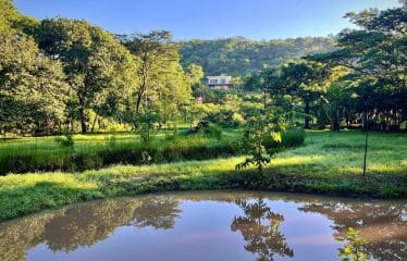 Sanctuaire de la rivière Nosara