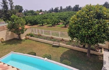Beautiful House in Santa Lucia di Moriani 10 minutes from the Beaches