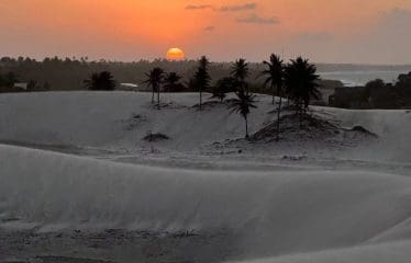 Magnifique Propriété de 9 suites en front de mer dans la nature tropicale de Jericoacoara