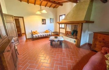 Bellissima villa situata a Montescudaio
