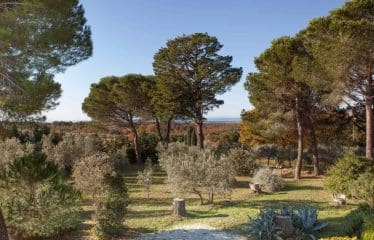 Magnifique Villa avec vue mer sur un grand terrain