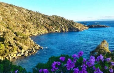 Belle villa moderne située à Isola Del Giglio
