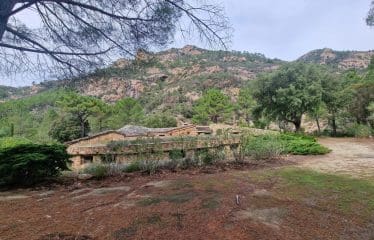 DOSSIER CONFIDENTIEL  Unique Bastide de pierre sur  de Bavella ultra protégé