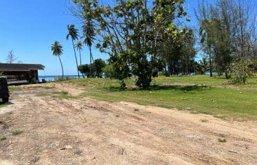Somptueux terrain constructible unique et dernier pied à Moorea.
