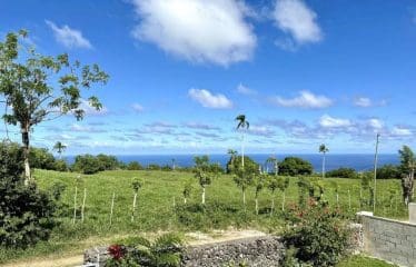 Maison de campagne sereine avec 45 acres de terres agricoles