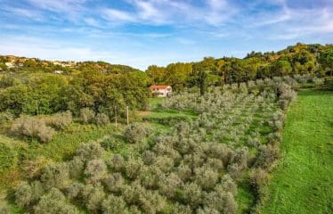 Bellissima villa situata a Montescudaio