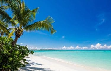 Magnifici appartamenti da 181 a 240 m² A MAURITIUS