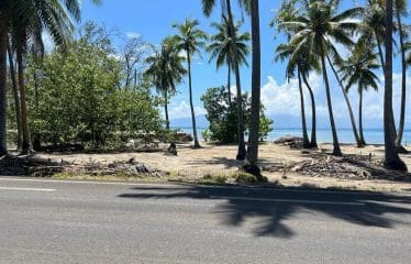 Somptueux terrain constructible unique et dernier pied à Moorea.