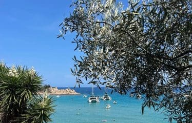 Villa de luxe de 4 pièces en vente SARI SOLENZARA, Sari-Solenzara, Corse du Sud, Corse