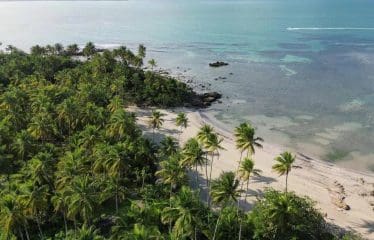 Superbe propriété en bord de mer à vendre à Boipeba-Bahia