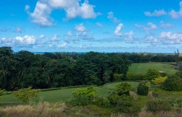 Très beau terrain située à Maurice juste à coter du plus prestigieux parcours de golf