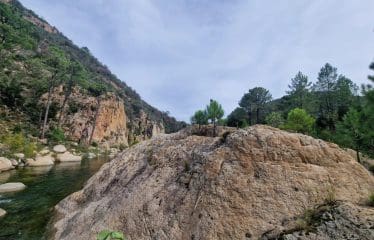 DOSSIER CONFIDENTIEL  Unique Bastide de pierre sur  de Bavella ultra protégé