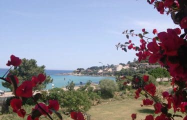Beautiful Villa with sea view