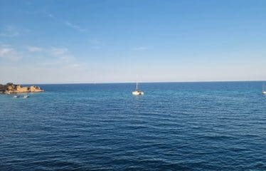 Villa de luxe de 4 pièces en vente SARI SOLENZARA, Sari-Solenzara, Corse du Sud, Corse