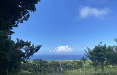 Maison de campagne sereine avec 45 acres de terres agricoles