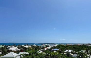 Magnifique Propriété  Villa « Ocean View » + un appartement