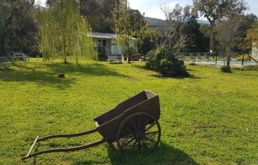 Authentique propriété de campagne située à Prunelli di Fiumorbo