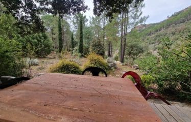 DOSSIER CONFIDENTIEL  Unique Bastide de pierre sur  de Bavella ultra protégé