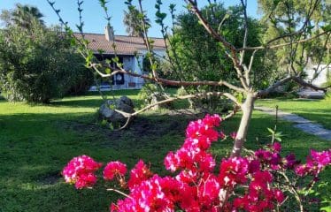Authentique propriété de campagne située à Prunelli di Fiumorbo