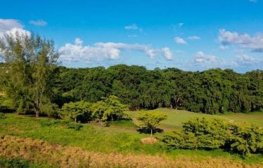 Magnifique terrain situé à Bel ombre, idéal pour un amoureux de golf et de nature