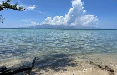 Somptueux terrain constructible unique et dernier pied à Moorea.