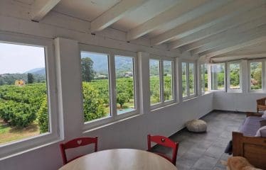 Beautiful House in Santa Lucia di Moriani 10 minutes from the Beaches