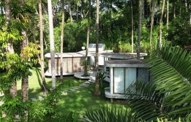 Superbe propriété en bord de mer à vendre à Boipeba-Bahia