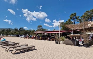 EXCLUSIVITÉ   Belle Propriété vue mer époustouflante , sur les hauteurs de SOLENZARA