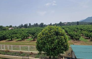Beautiful House in Santa Lucia di Moriani 10 minutes from the Beaches