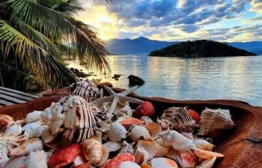 Spectaculaire complexe insulaire privé situé à Paraty