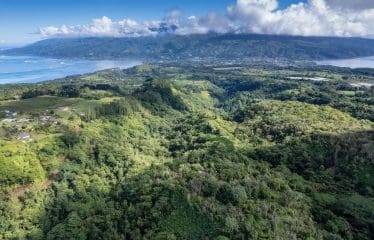 Magnifique domaine à vendre presqu&rsquo;il de Tahiti