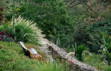 Sanctuaire de la rivière Nosara