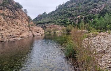 DOSSIER CONFIDENTIEL  Unique Bastide de pierre sur  de Bavella ultra protégé