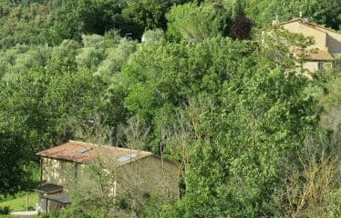 Splendide propriété située à la campagne en toscane