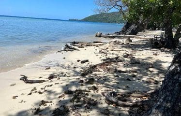 Somptueux terrain constructible unique et dernier pied à Moorea.