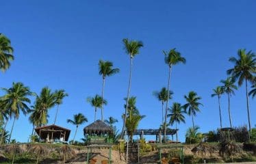 Hôtel de plage écologique à vendre à Barra Grande-Bahia