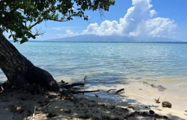 Somptueux terrain constructible unique et dernier pied à Moorea.