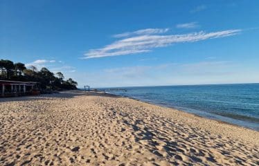 Villa de luxe de 4 pièces en vente SARI SOLENZARA, Sari-Solenzara, Corse du Sud, Corse