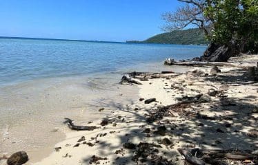 Somptueux terrain constructible unique et dernier pied à Moorea.
