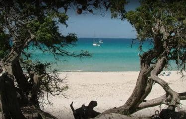 AGNIIQUE IMMOBILE DI PRESTIGIO su 2 livelli: 250 mq abitabili ad OLETTA VISTA MARE