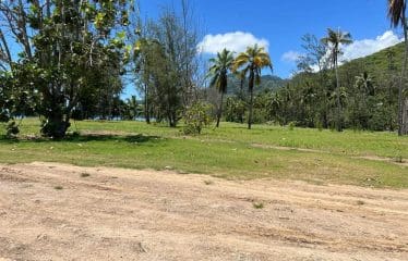 Somptueux terrain constructible unique et dernier pied à Moorea.
