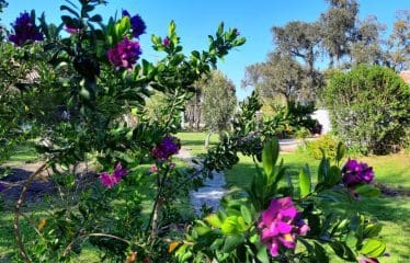 Authentique propriété de campagne située à Prunelli di Fiumorbo