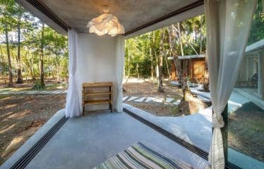 Superbe propriété en bord de mer à vendre à Boipeba-Bahia