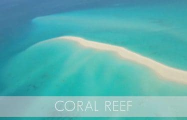 Magnifique île privée à vendre (Mozambique)