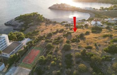 Splendide Terrain sur  Petrothalassa de Porto Heli