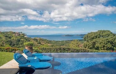 Splendid villa with ocean view