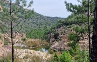 DOSSIER CONFIDENTIEL  Unique Bastide de pierre sur  de Bavella ultra protégé