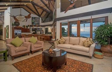 Splendid villa with ocean view