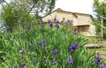 Splendide propriété située à la campagne en toscane